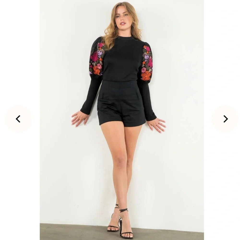 THML Black Blouse with Vibrant Embroidered Sleeves - Picture 5 of 8